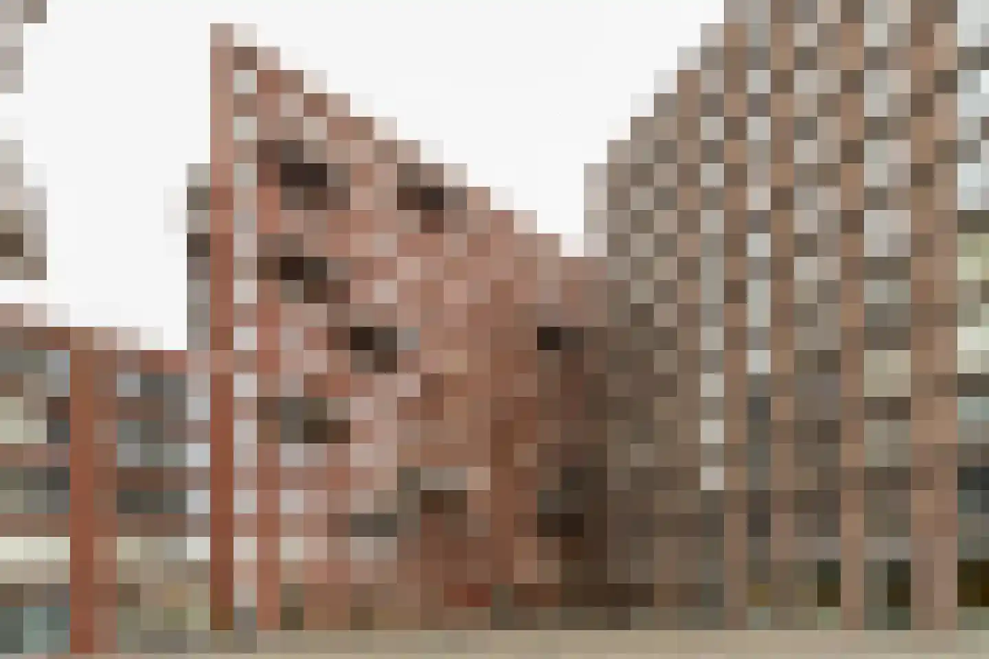 Veembroederhof 121 Amsterdam thumbnail 4