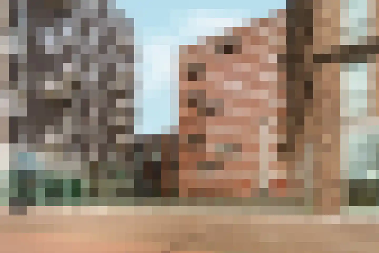 Veembroederhof 195 Amsterdam thumbnail 24