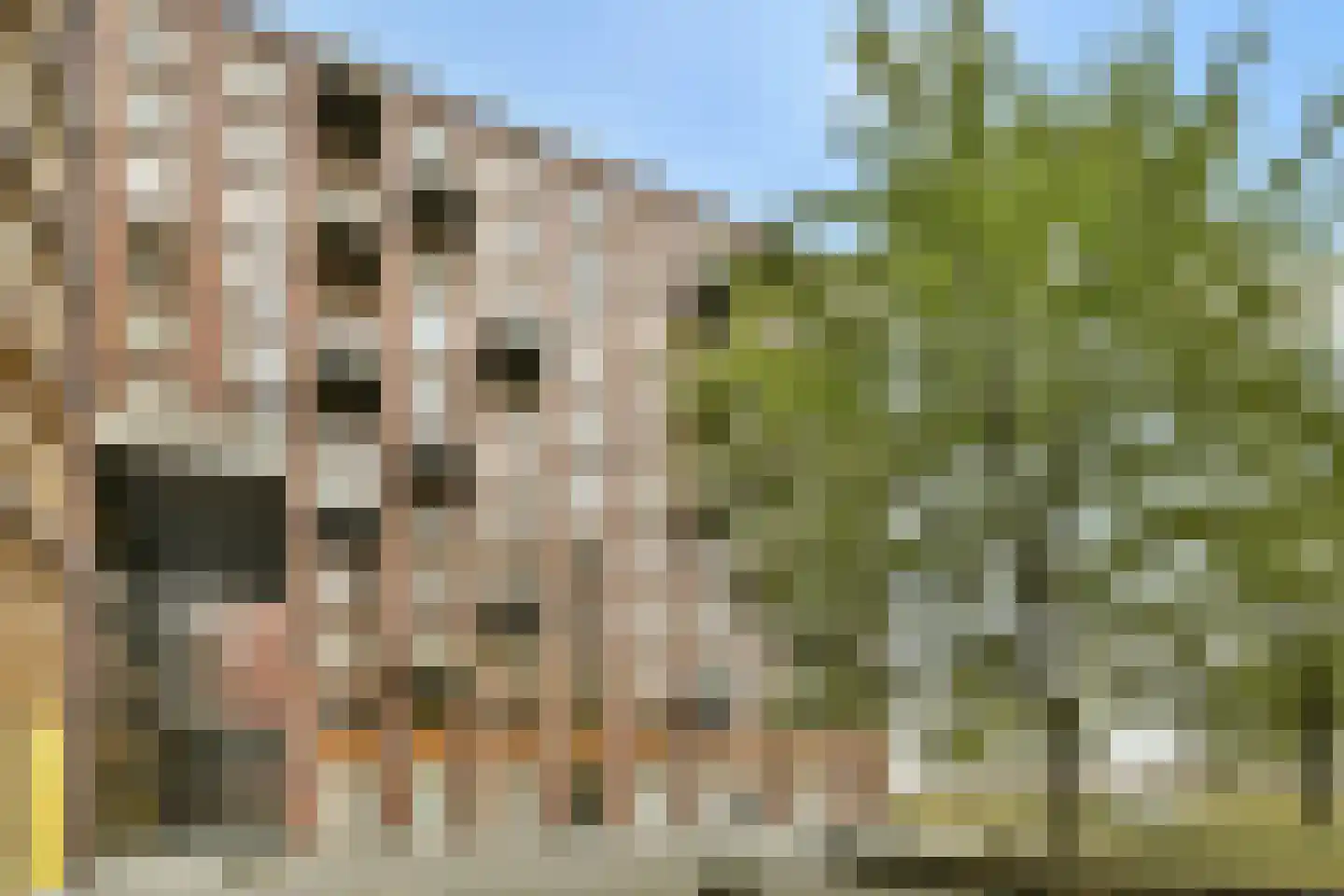 Veembroederhof 196 Amsterdam thumbnail 19
