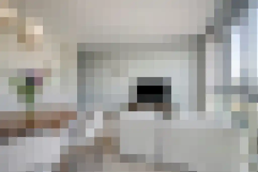 Veembroederhof 35 Amsterdam thumbnail 6