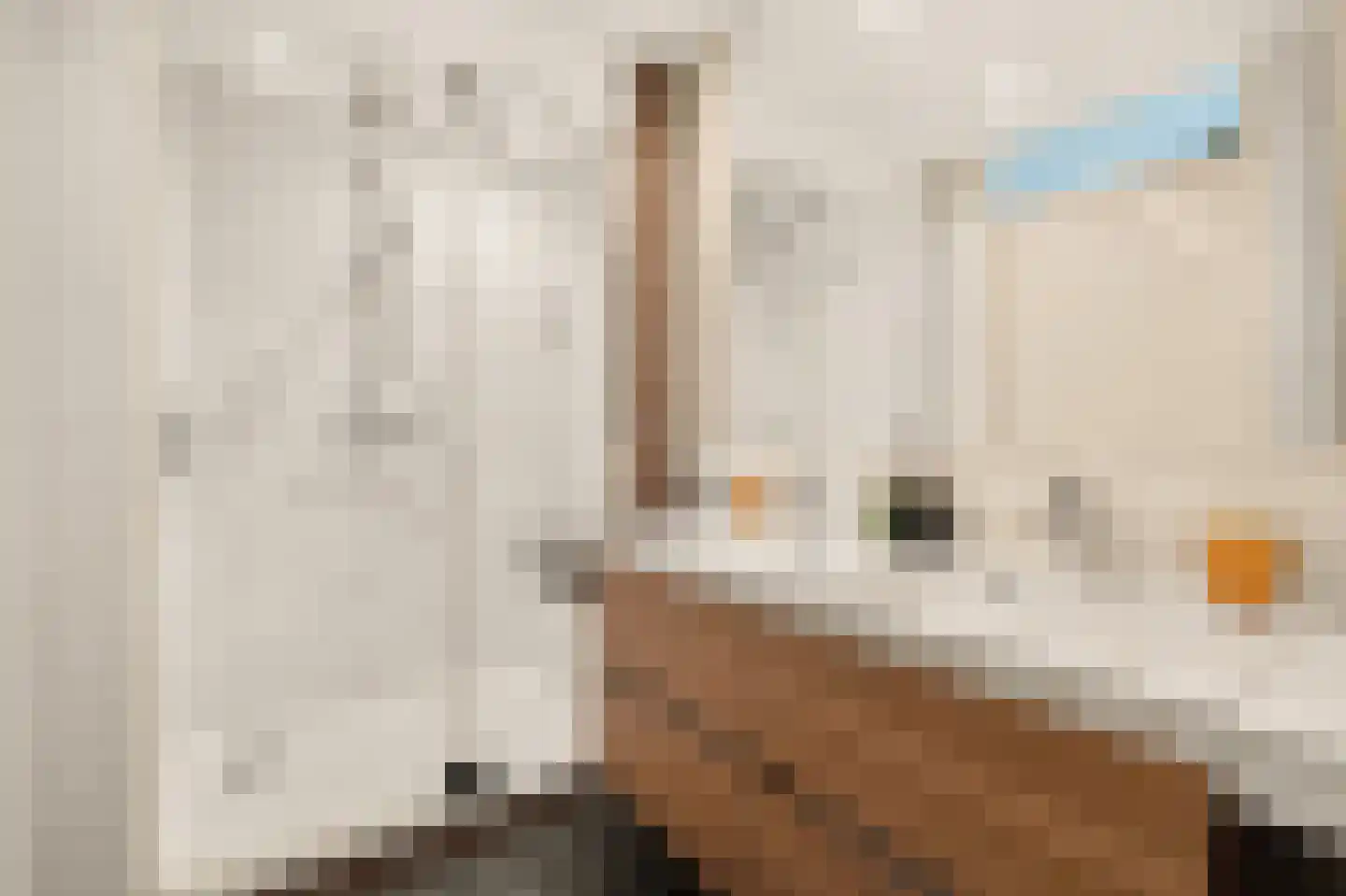 Veemkade 1020 Amsterdam thumbnail 31