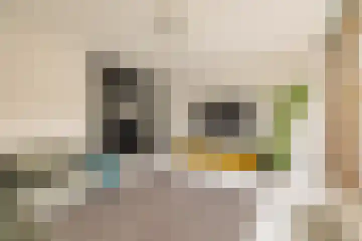 Veemkade 1096 Amsterdam thumbnail 17