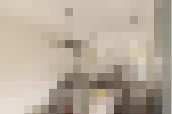 Veemkade 1096 Amsterdam thumbnail 22