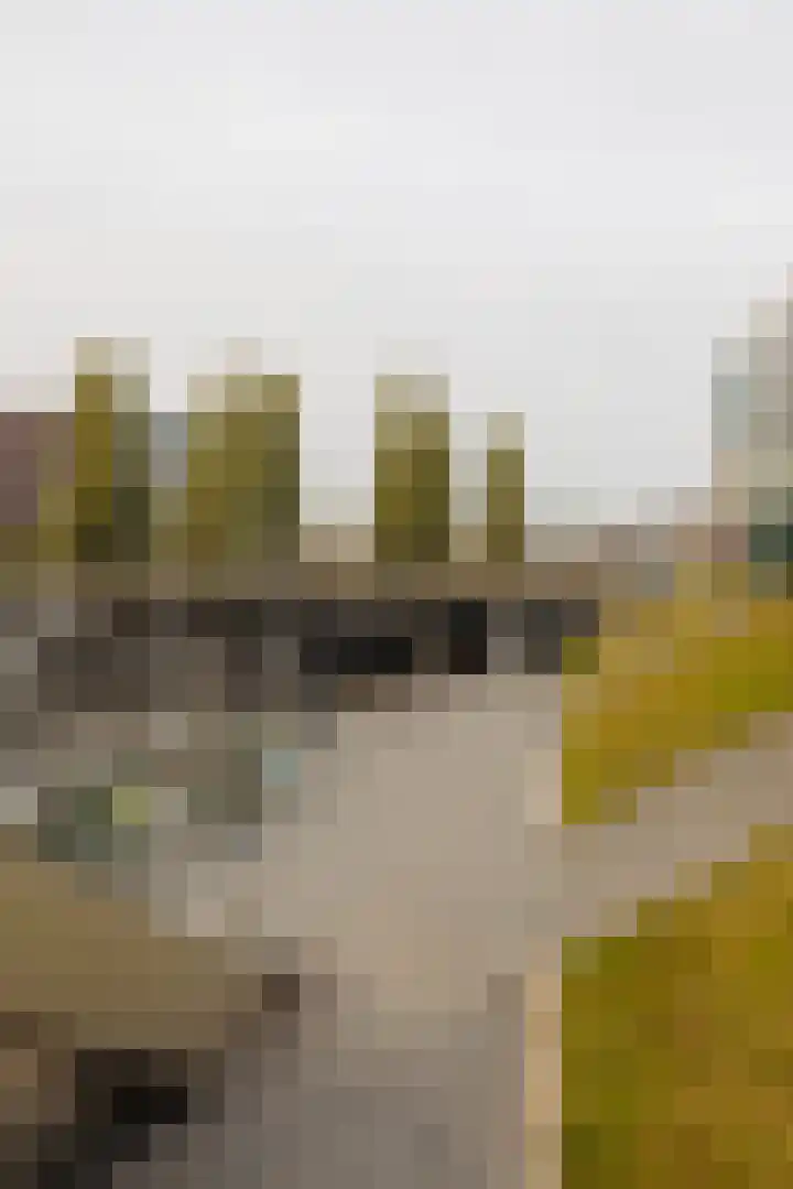 Veemkade 1096 Amsterdam thumbnail 35
