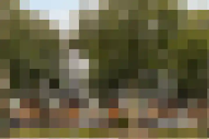 Veemkade 1096 Amsterdam thumbnail 6