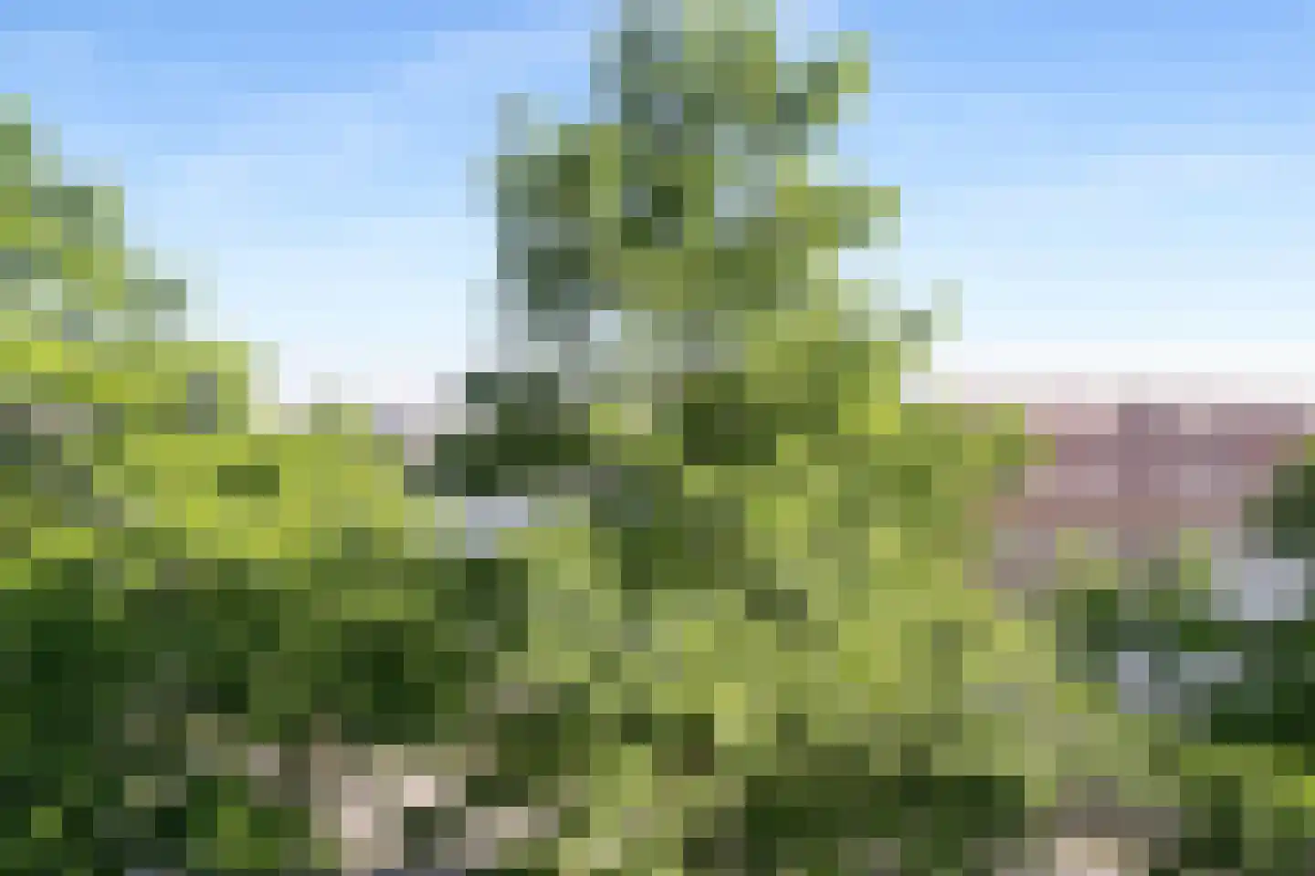 Veemkade 1120 Amsterdam thumbnail 5
