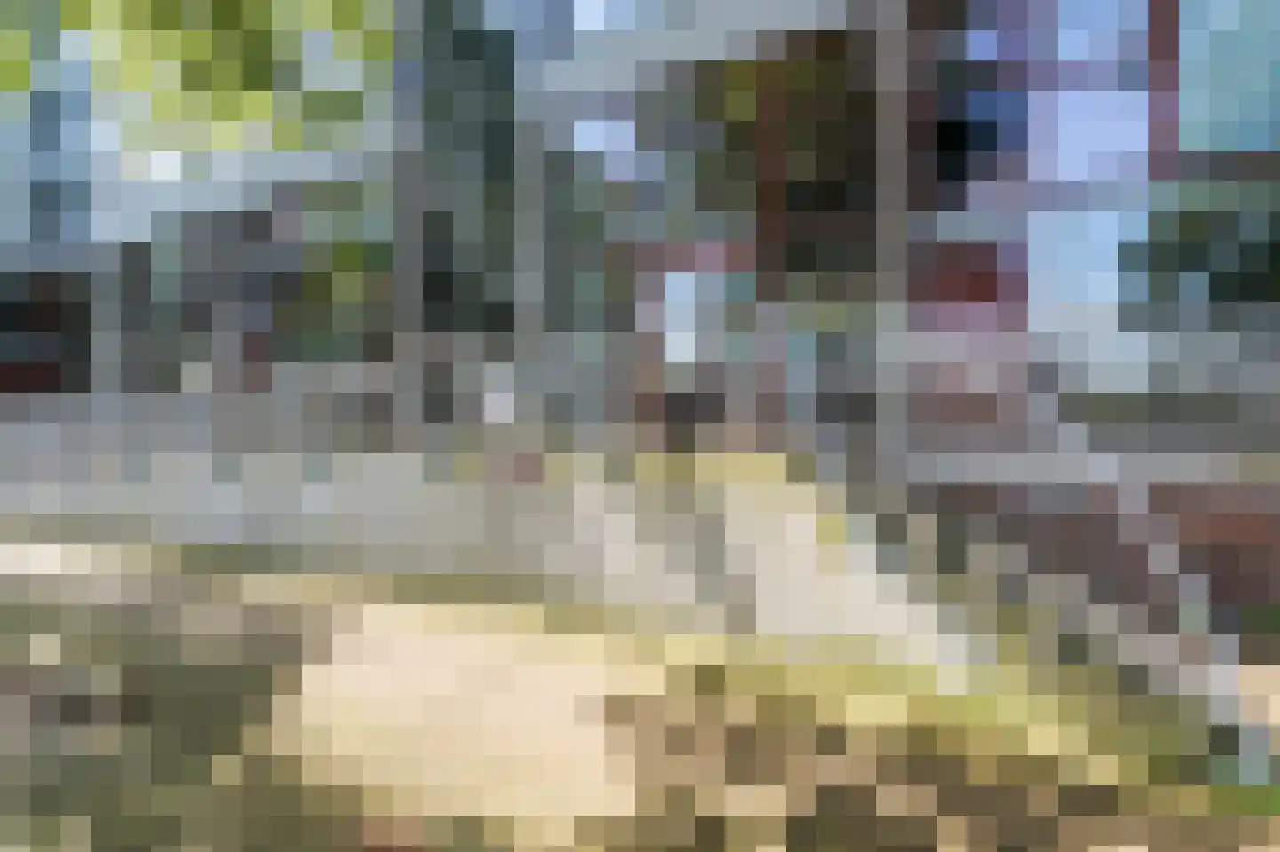Veemkade 1120 Amsterdam thumbnail 9