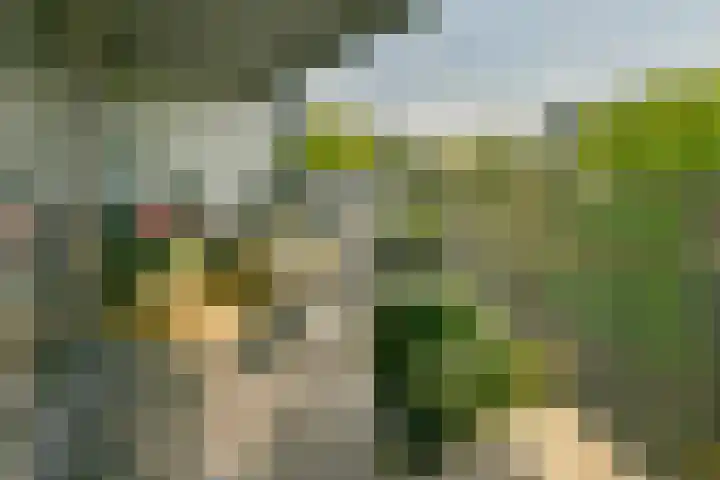 Veemkade 1124 Amsterdam thumbnail 11