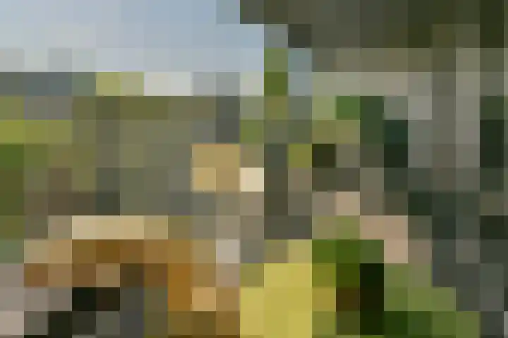 Veemkade 1124 Amsterdam thumbnail 12