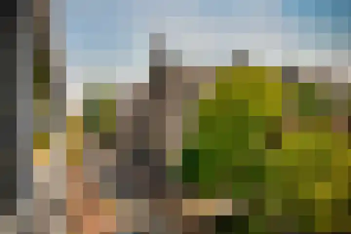 Veemkade 1124 Amsterdam thumbnail 21