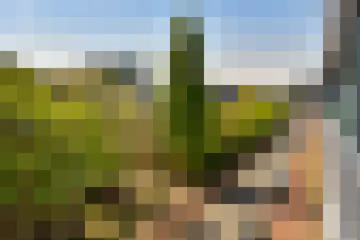 Veemkade 1124 Amsterdam thumbnail 22