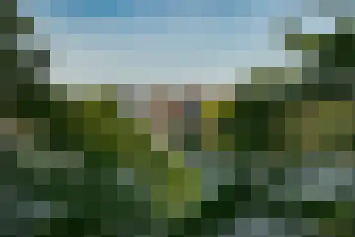 Veemkade 1124 Amsterdam thumbnail 23