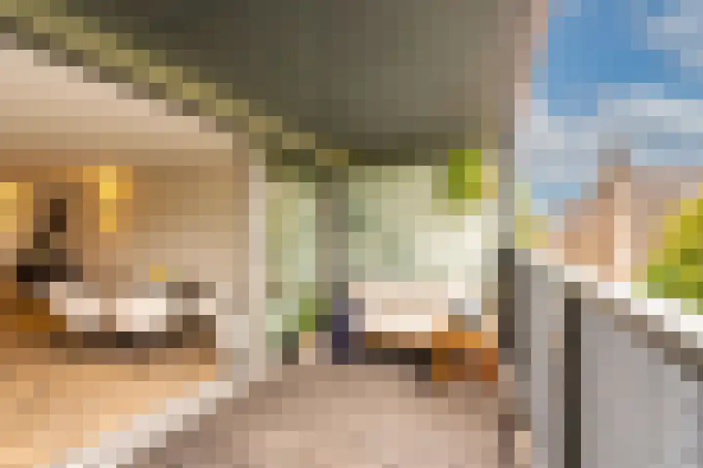 Veemkade 1124 Amsterdam thumbnail 23