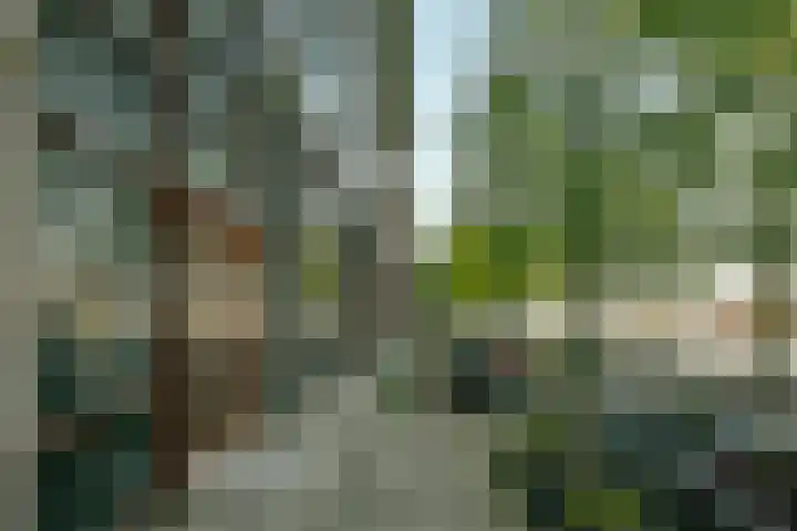 Veemkade 1124 Amsterdam thumbnail 24