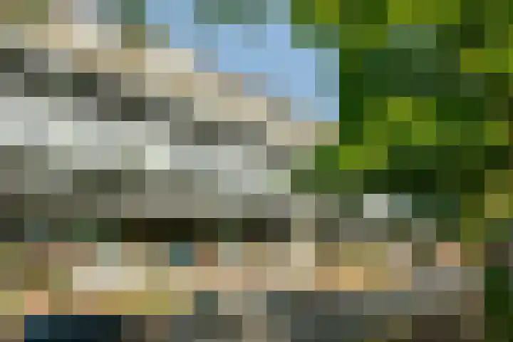 Veemkade 1124 Amsterdam thumbnail 28