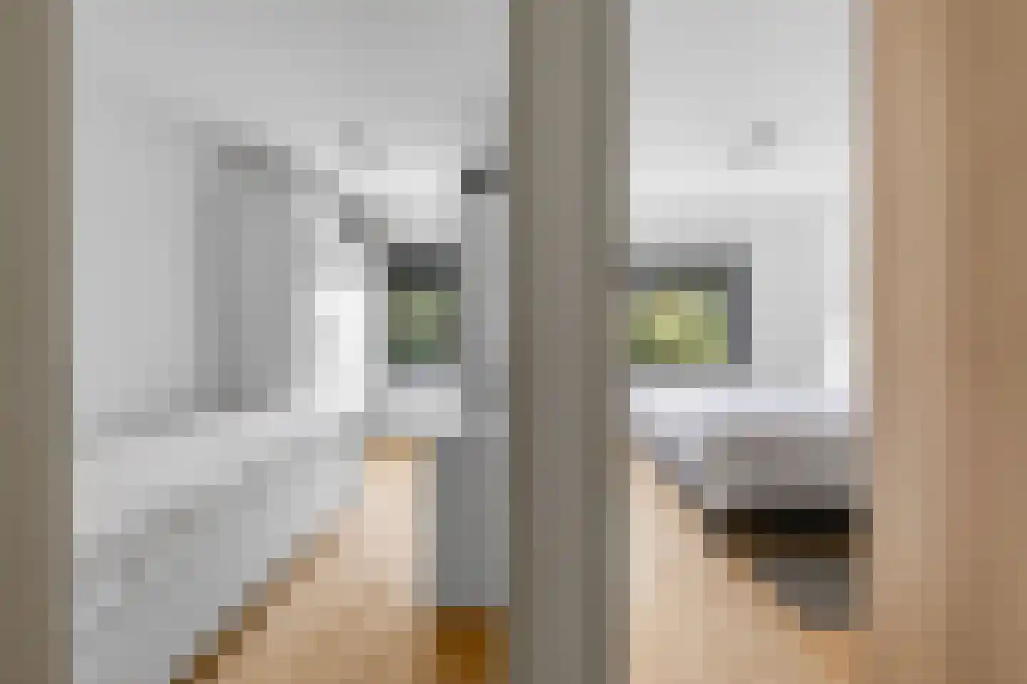 Veemkade 1126 Amsterdam thumbnail 22