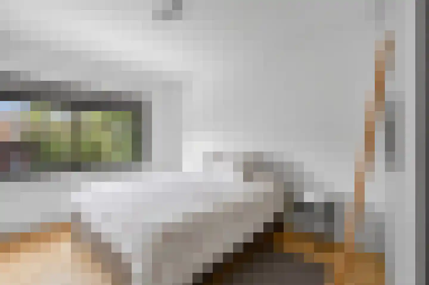 Veemkade 1126 Amsterdam thumbnail 23