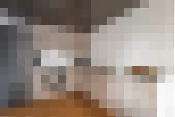 Veemkade 1166 Amsterdam thumbnail 15