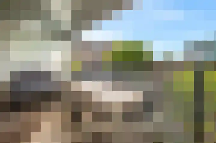 Veemkade 1166 Amsterdam thumbnail 17