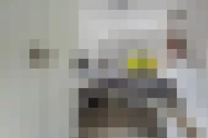 Veemkade 1166 Amsterdam thumbnail 5