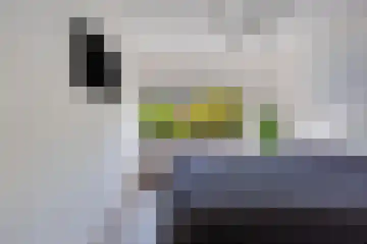 Veemkade 1166 Amsterdam thumbnail 6