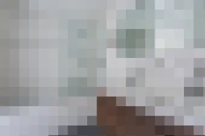 Veemkade 1166 Amsterdam thumbnail 8