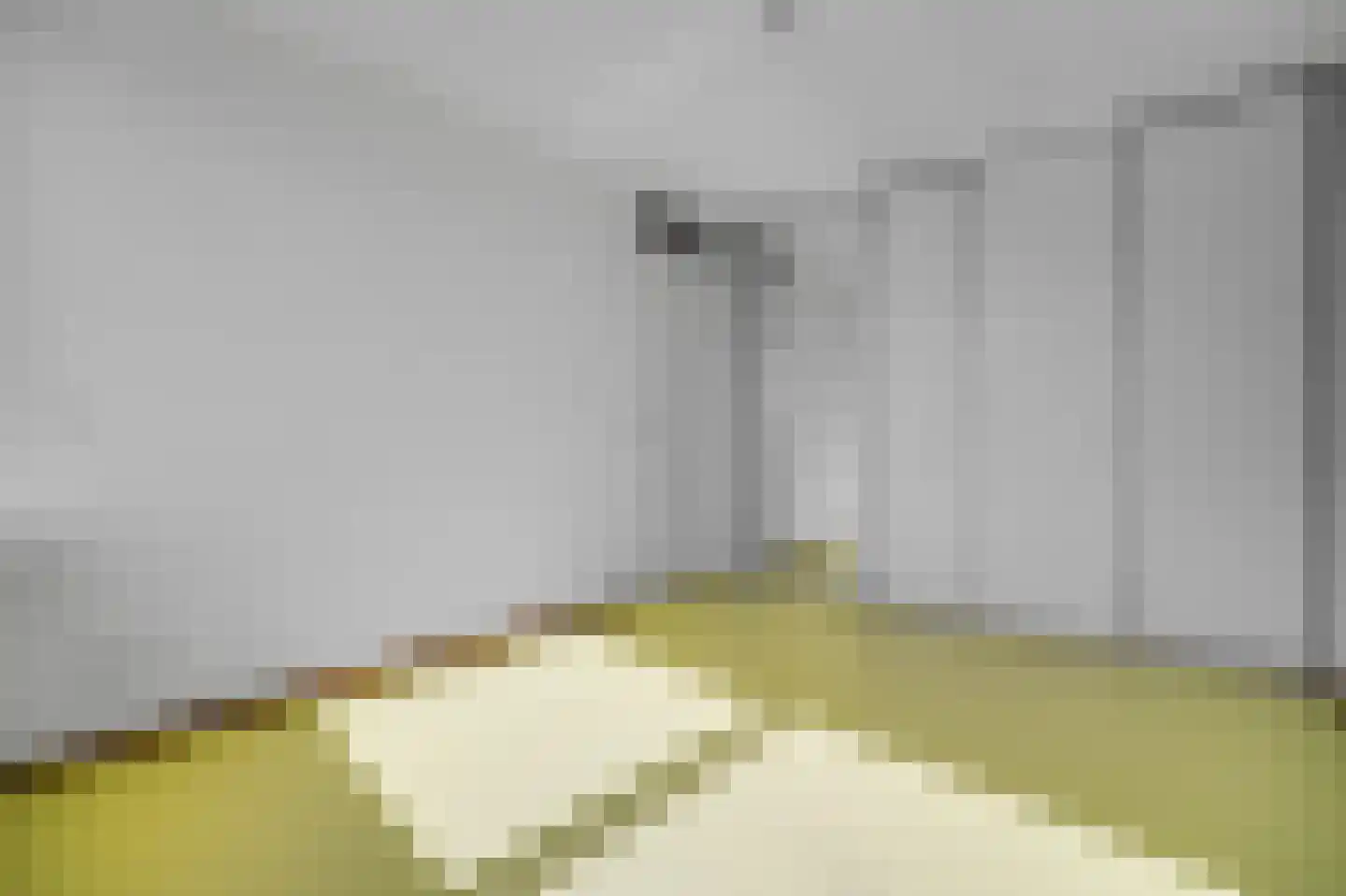 Veemkade 1172 Amsterdam thumbnail 18