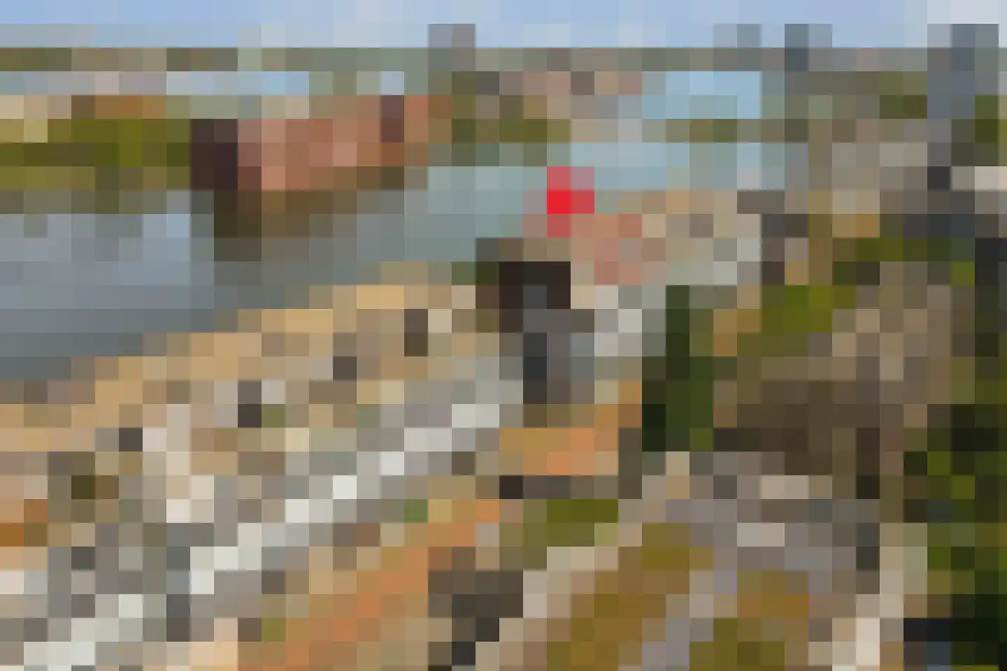 Veemkade 1172 Amsterdam thumbnail 26
