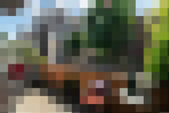 Veemkade 1208 Amsterdam thumbnail 15