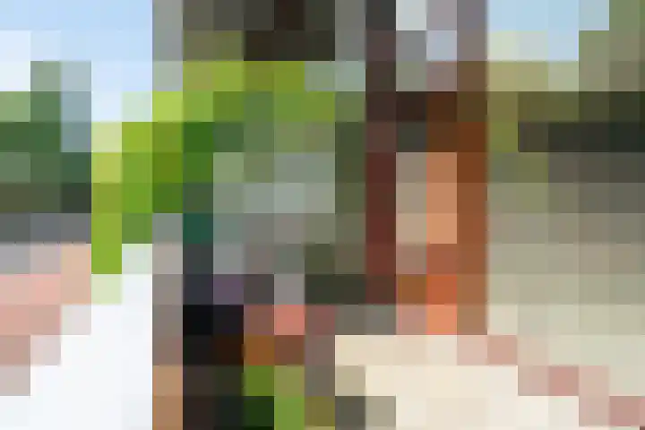 Veemkade 1208 Amsterdam thumbnail 16