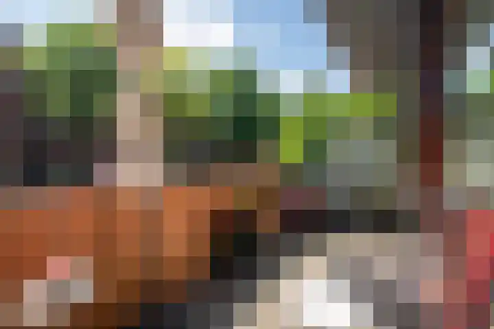Veemkade 1208 Amsterdam thumbnail 17