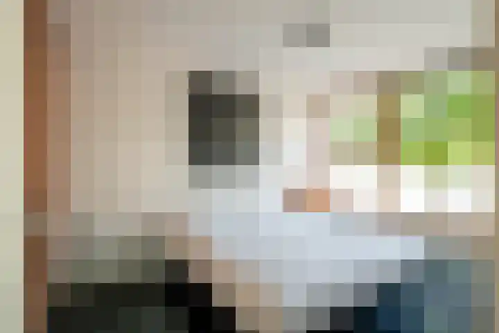 Veemkade 1208 Amsterdam thumbnail 28