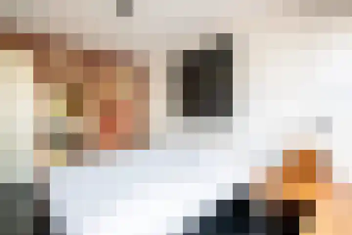 Veemkade 1208 Amsterdam thumbnail 29