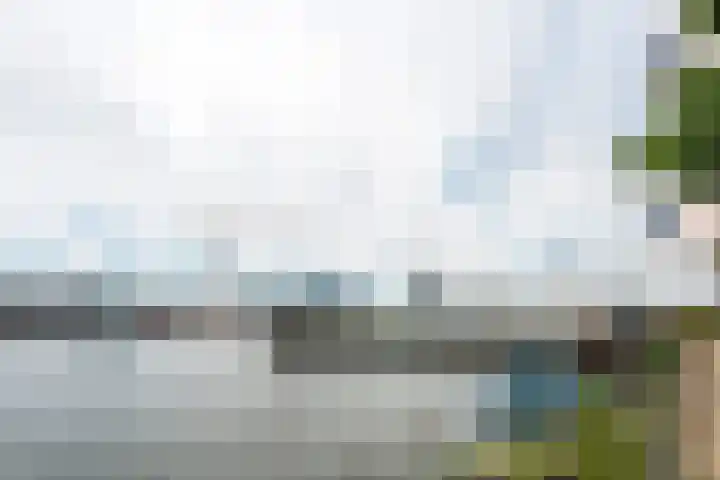 Veemkade 1208 Amsterdam thumbnail 40