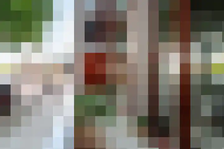 Veemkade 1208 Amsterdam thumbnail 6