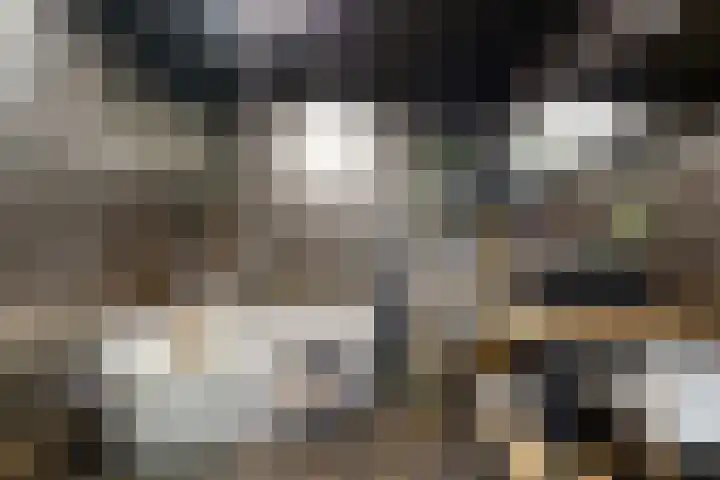 Veemkade 300 Amsterdam thumbnail 16