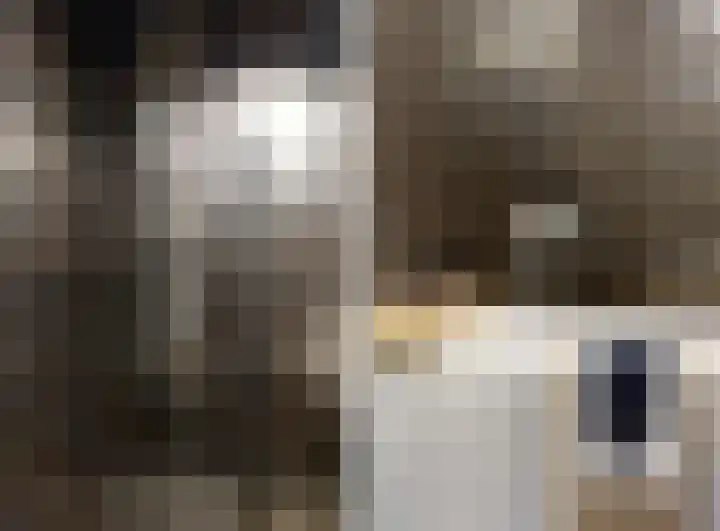 Veemkade 300 Amsterdam thumbnail 17