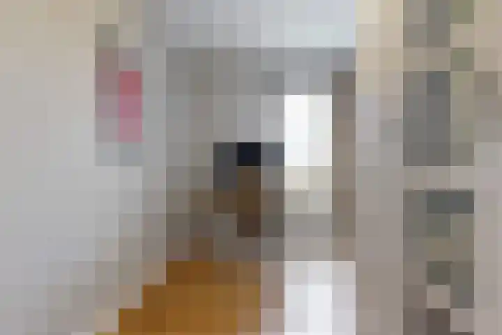Veemkade 300 Amsterdam thumbnail 22