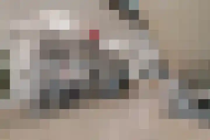 Veemkade 300 Amsterdam thumbnail 27