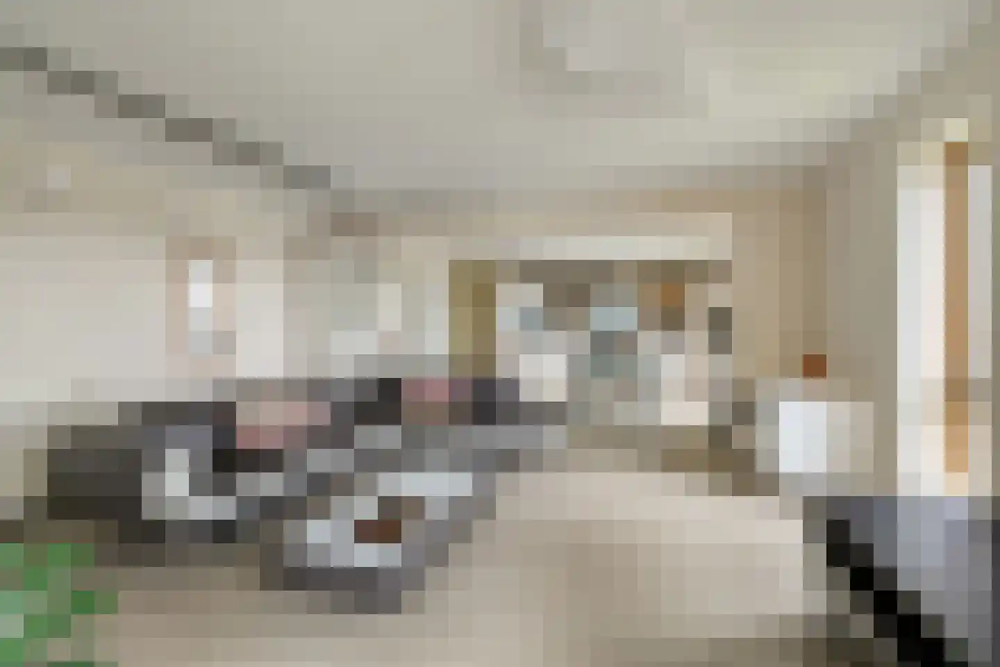 Veemkade 310 Amsterdam thumbnail 11