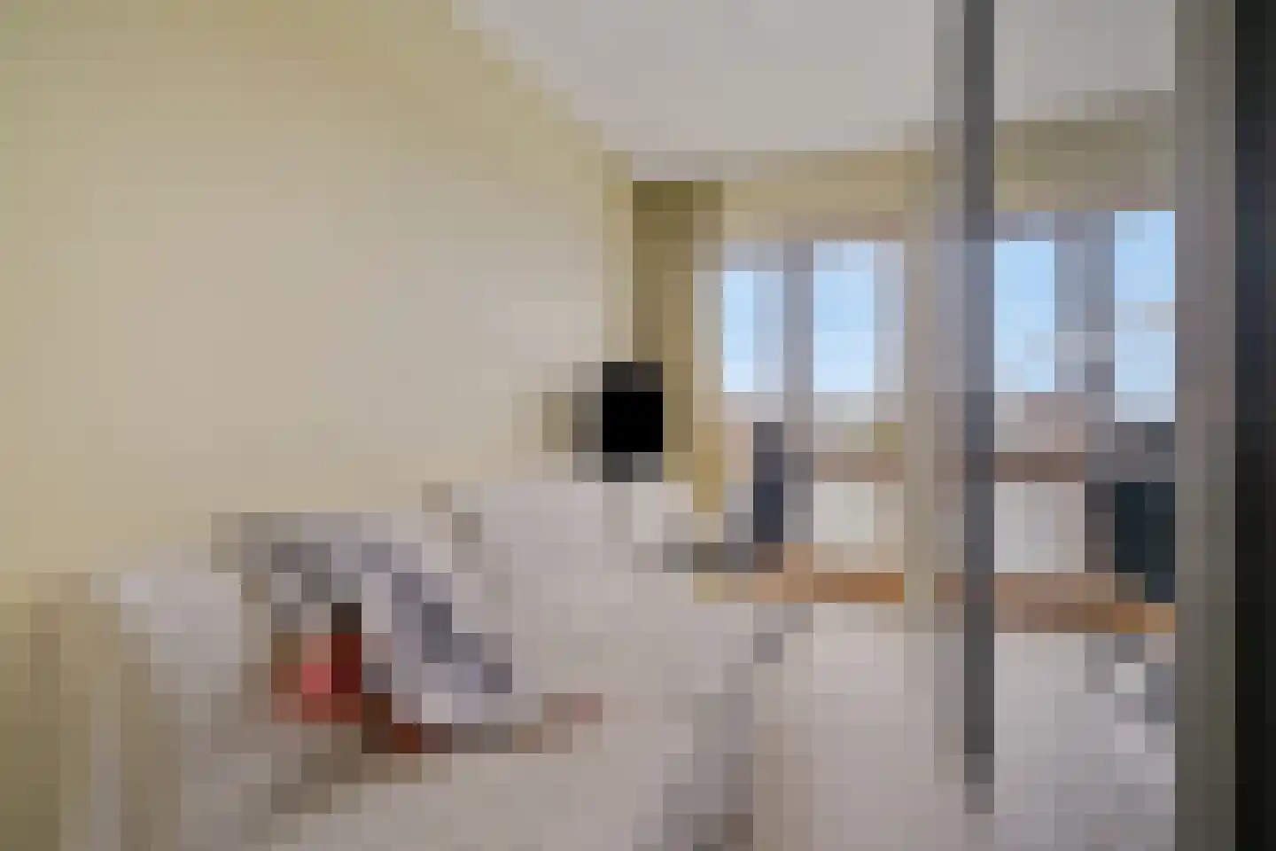 Veemkade 310 Amsterdam thumbnail 23