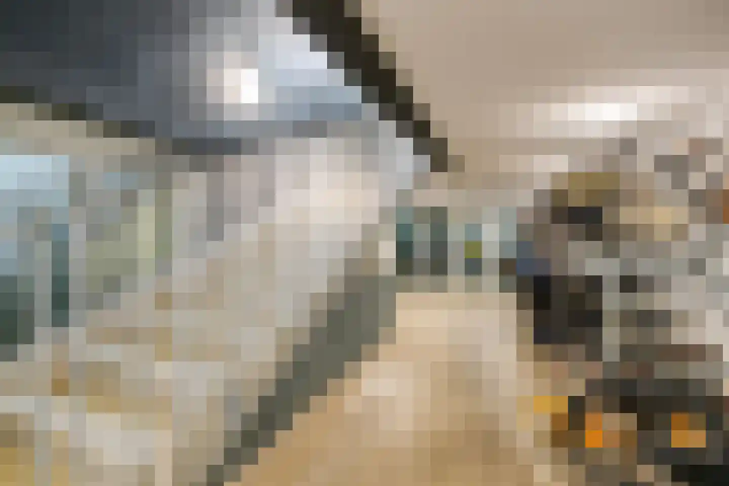 Veemkade 310 Amsterdam thumbnail 31