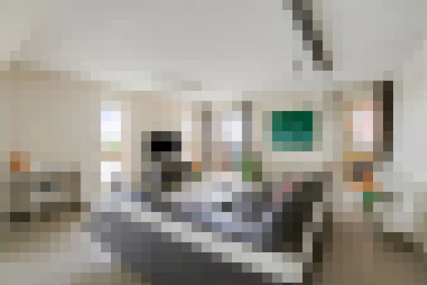 Veemkade 310 Amsterdam thumbnail 4