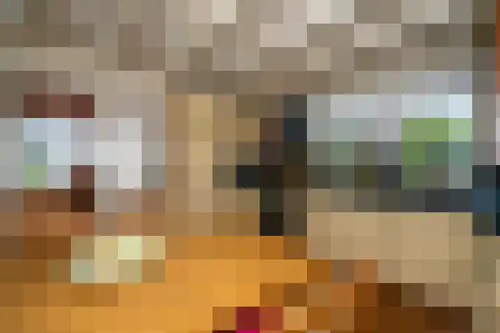 Veemstede 103 Oude Pekela thumbnail 17