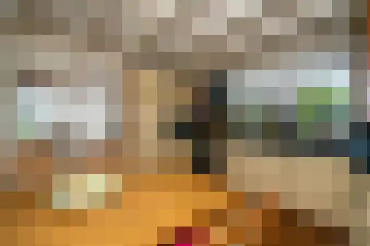 Veemstede 103 Oude Pekela thumbnail 18