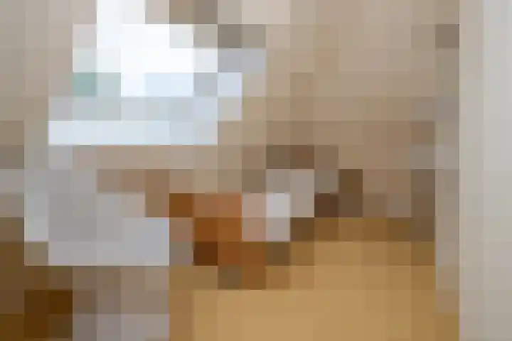 Veemstede 103 Oude Pekela thumbnail 32