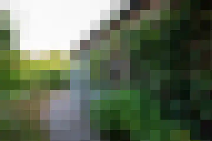 Veemstede 103 Oude Pekela thumbnail 36