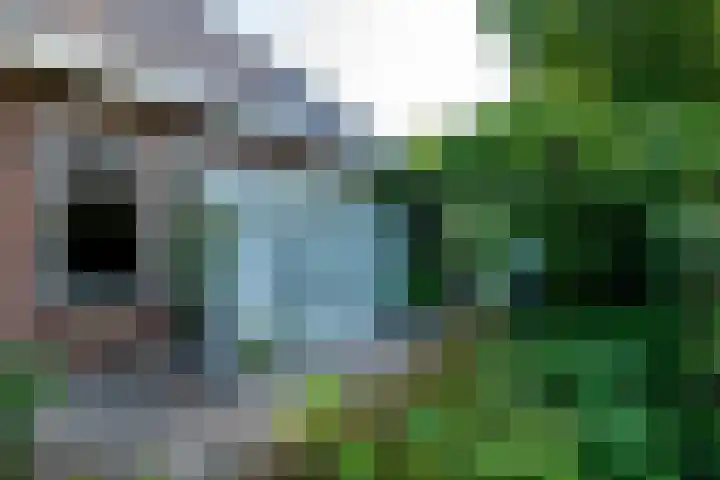 Veemstede 103 Oude Pekela thumbnail 37