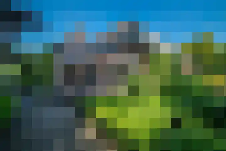 Veemstede 103 Oude Pekela thumbnail 38
