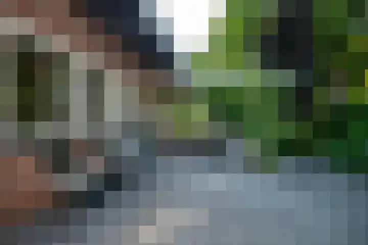 Veemstede 103 Oude Pekela thumbnail 39
